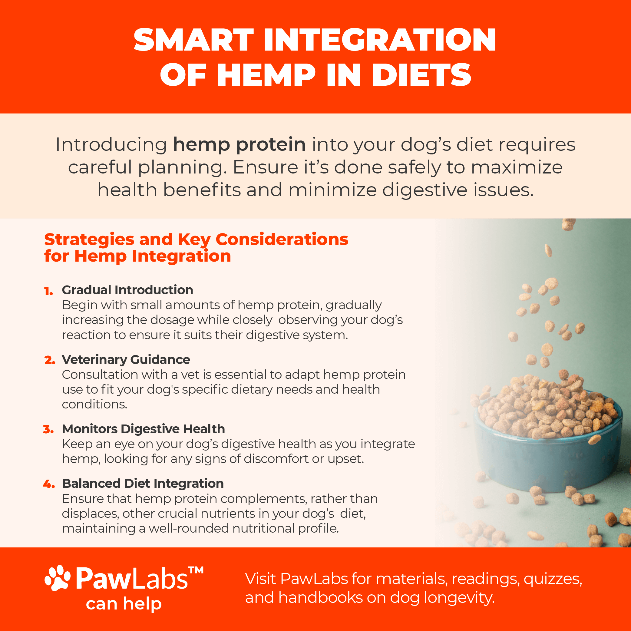 Infographic showing strategies for safely introducing hemp protein into a dog's diet, including gradual introduction, veterinary guidance, monitoring digestive health, and balanced diet integration, by PawLabs.