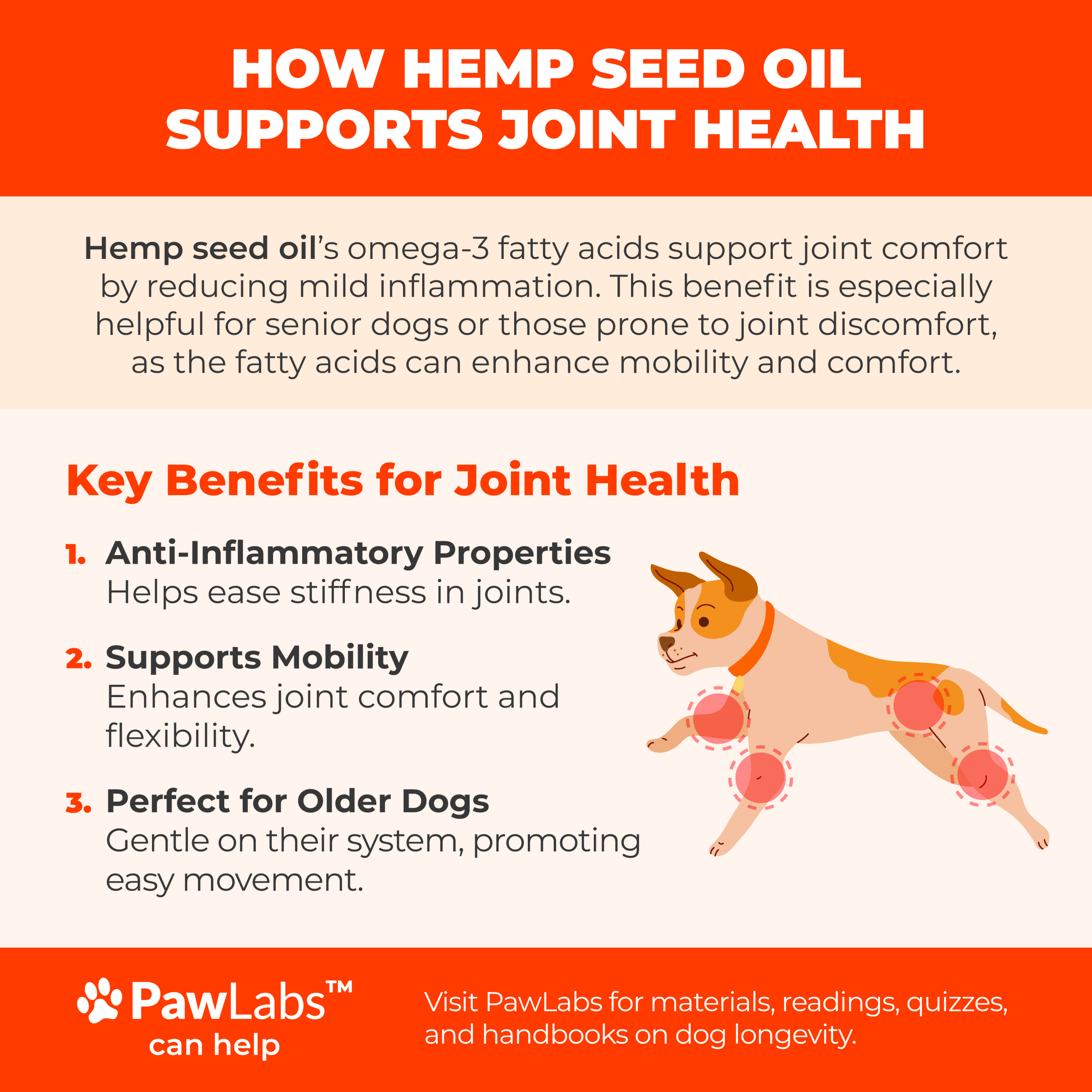 Hemp seed oil benefits for dogs' joint health - supports mobility and reduces inflammation