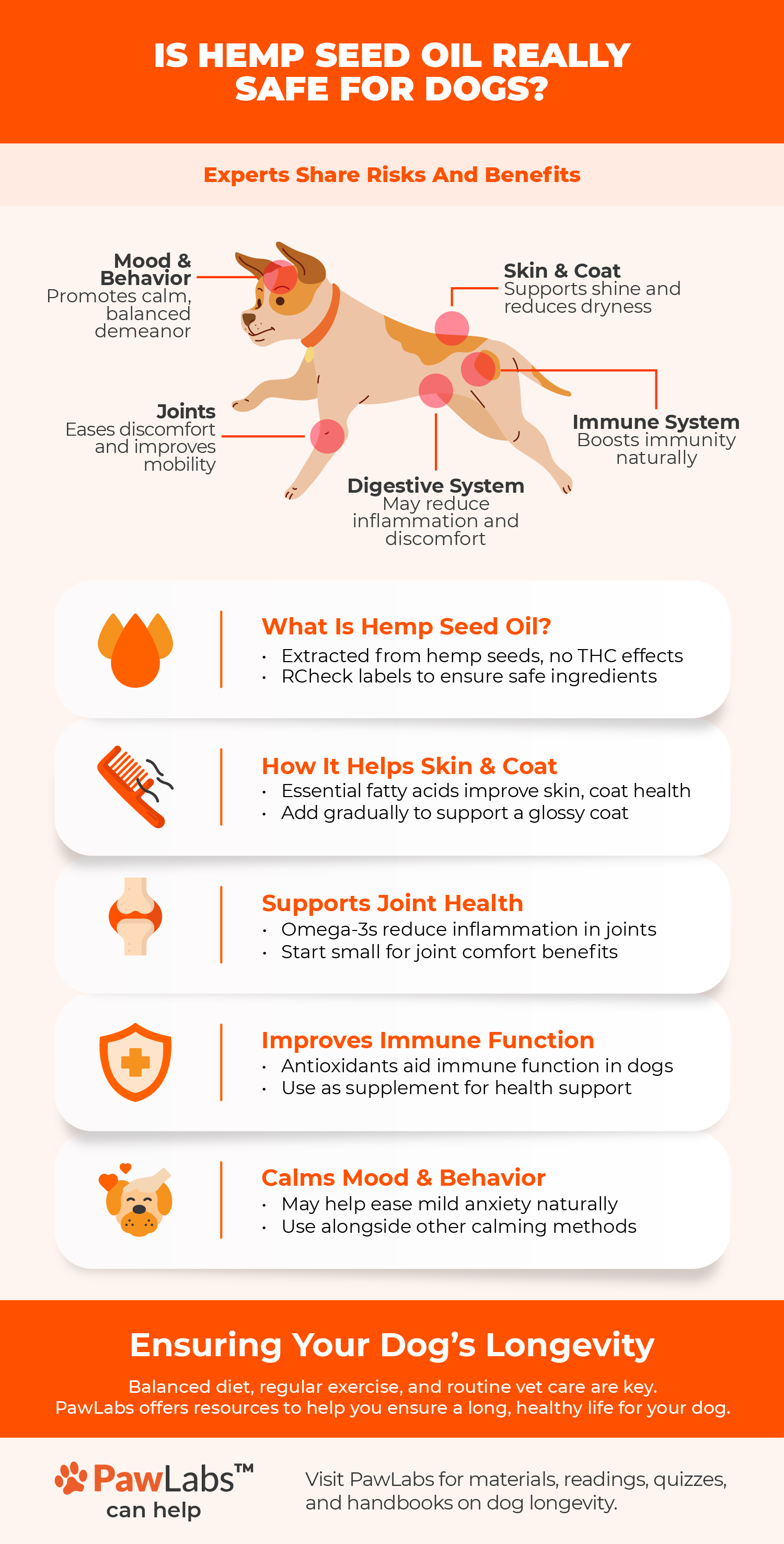 Infographic on hemp seed oil for dogs, showing benefits for skin, joints, mood, and immune health, along with safe usage tips.