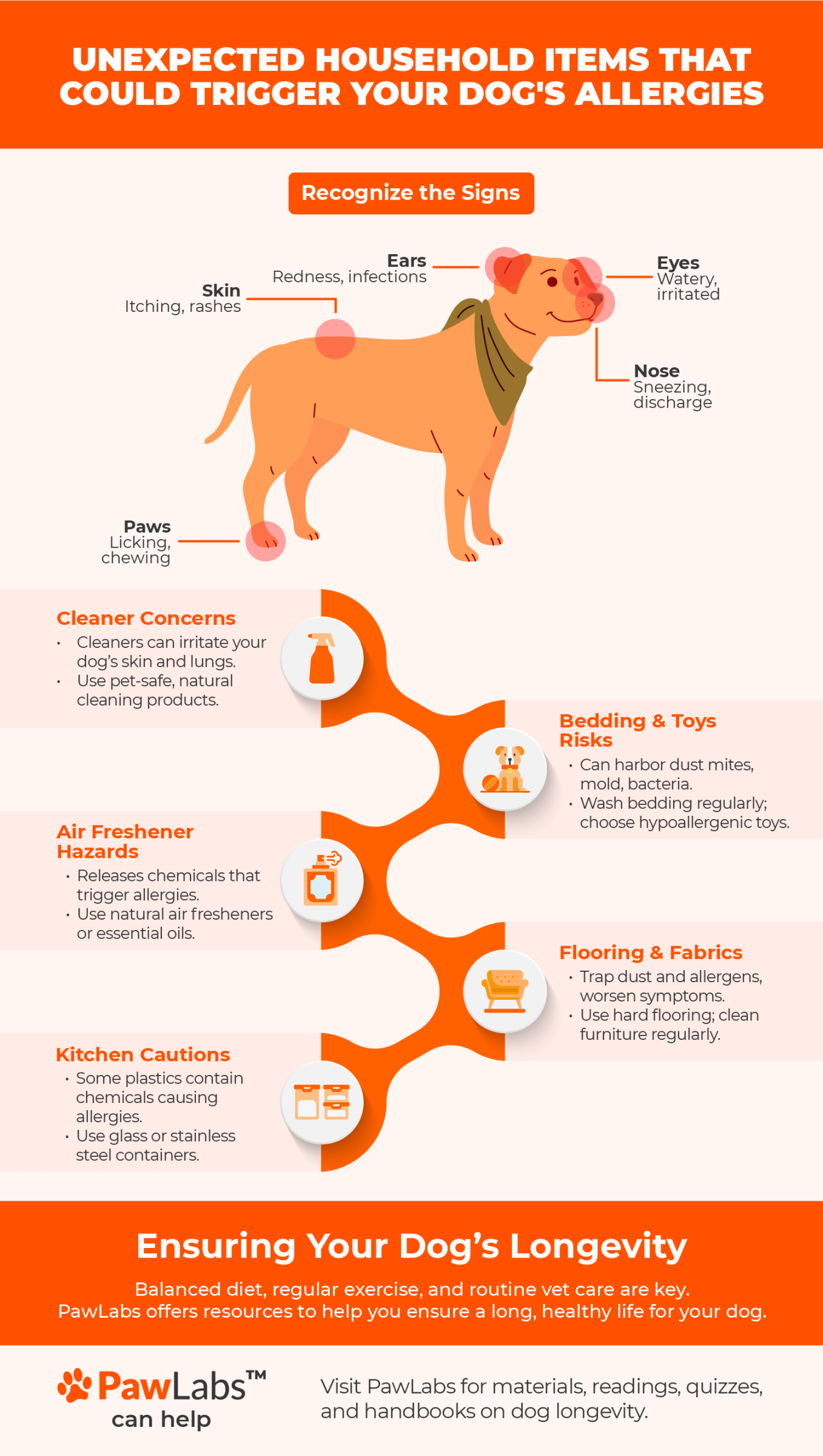 infographic dog allergies