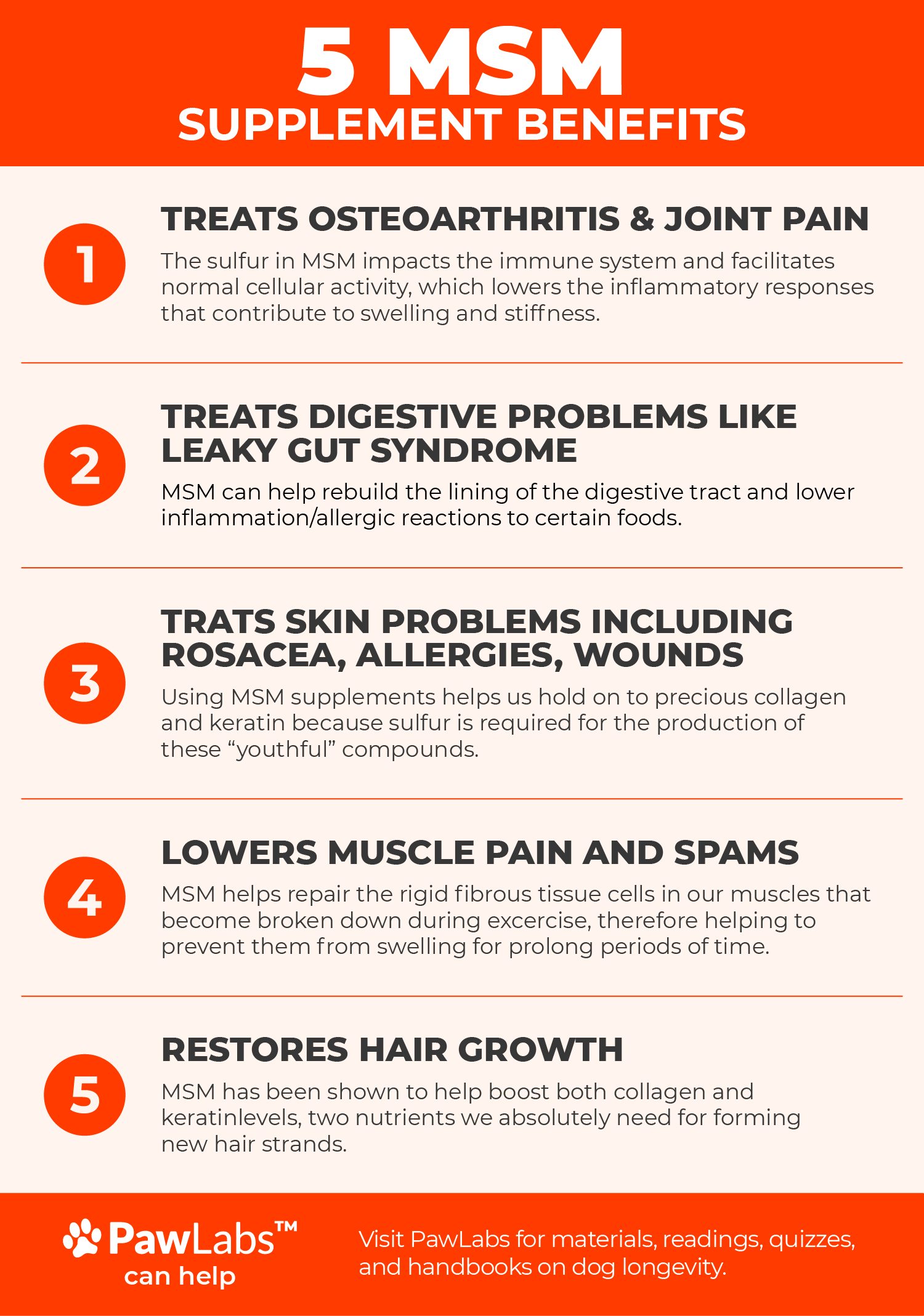 Role of MSM in Dog Joints