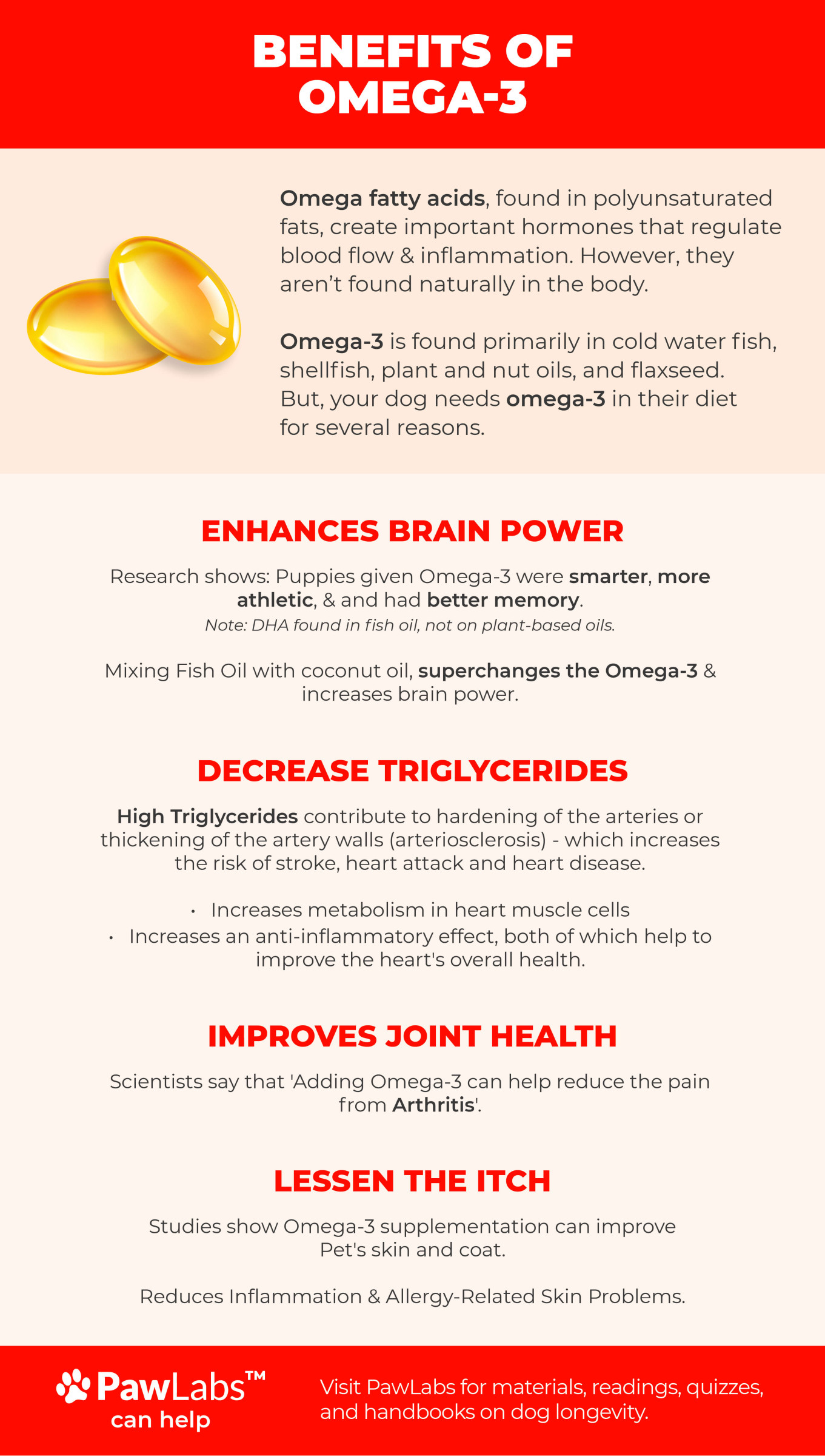 omega-3s health support