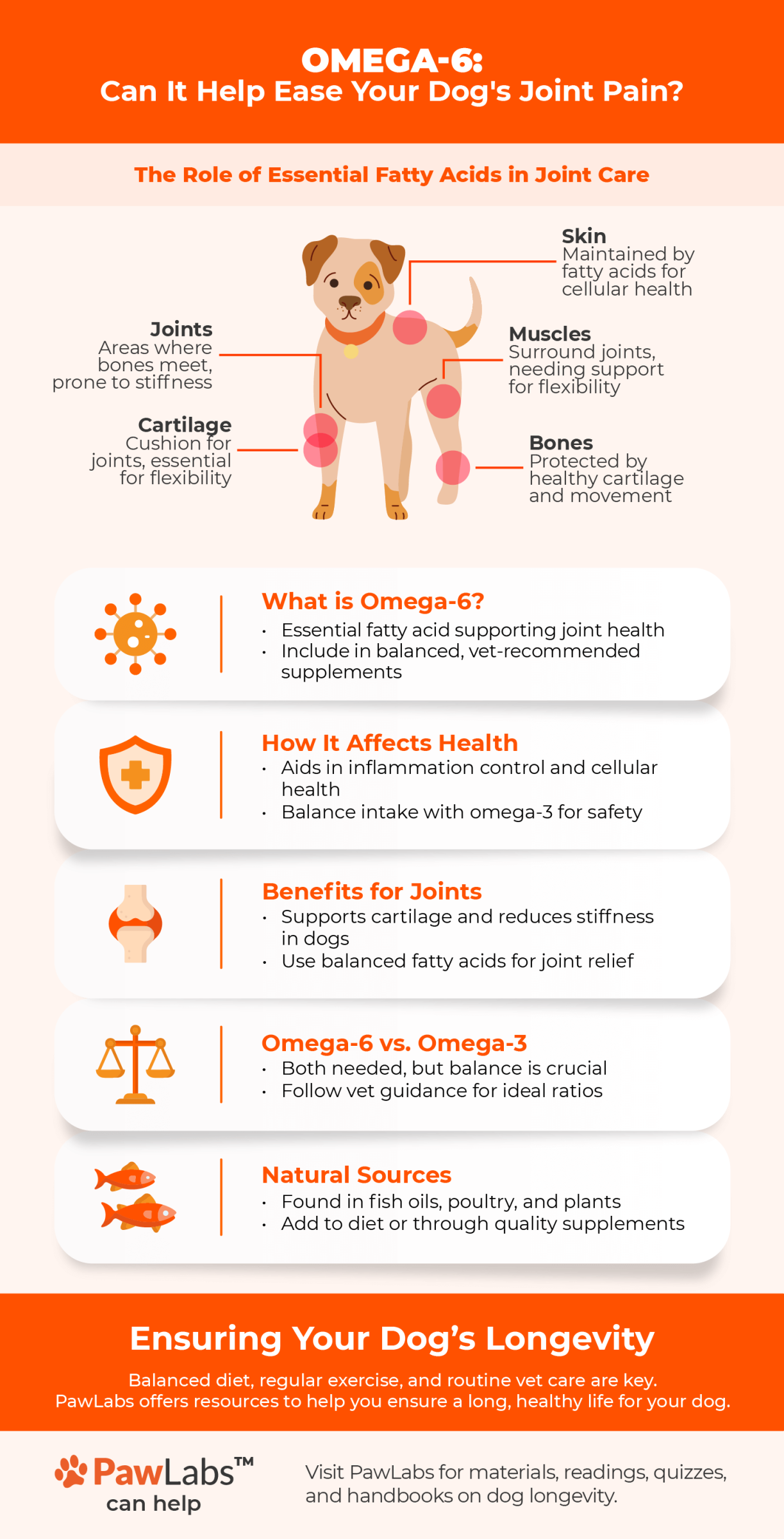 Omega-6 infographic