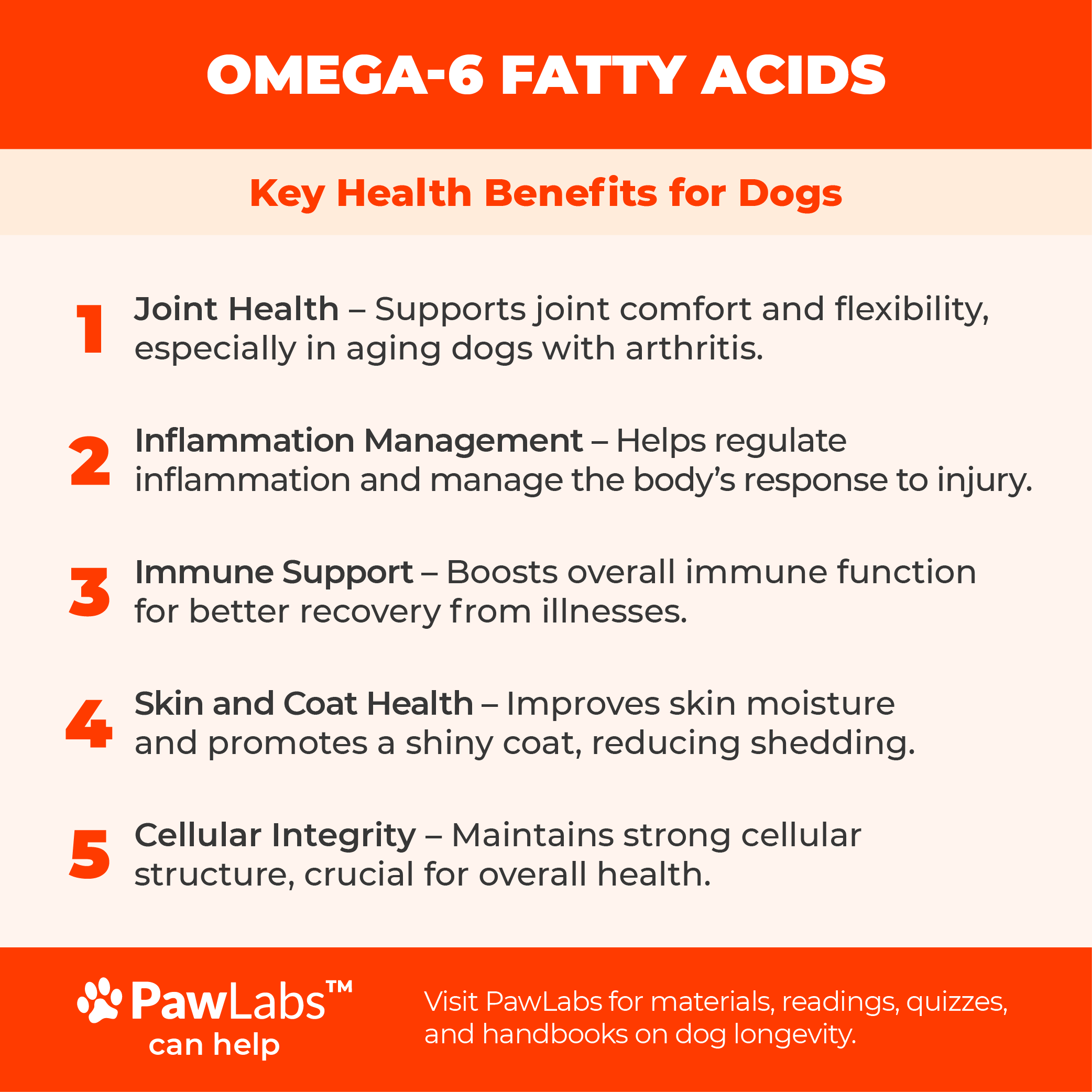 KEY BENEFITS OF OMEGA-6