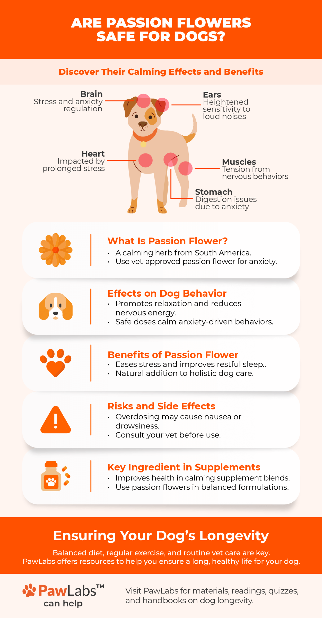 Infographic: 'Are Passion Flowers Safe for Dogs?' Highlights stress-affected areas in dogs (brain, ears, heart, stomach, muscles), benefits of passion flower, potential risks, and its use in supplements. Ends with tips on ensuring dog longevity and PawLabs resources.