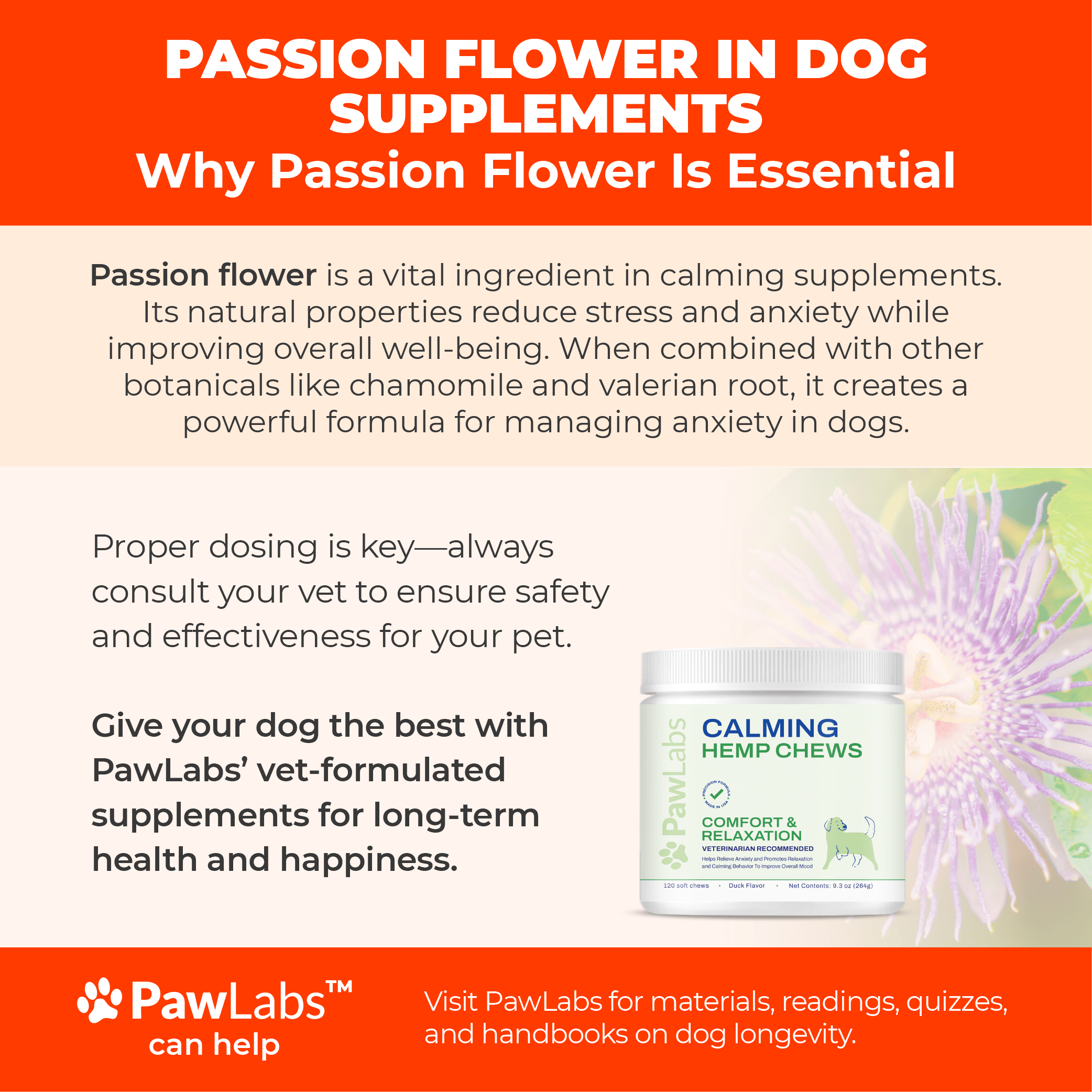 Infographic showcasing passion flower as a key ingredient in calming dog supplements, emphasizing stress relief and holistic health benefits.