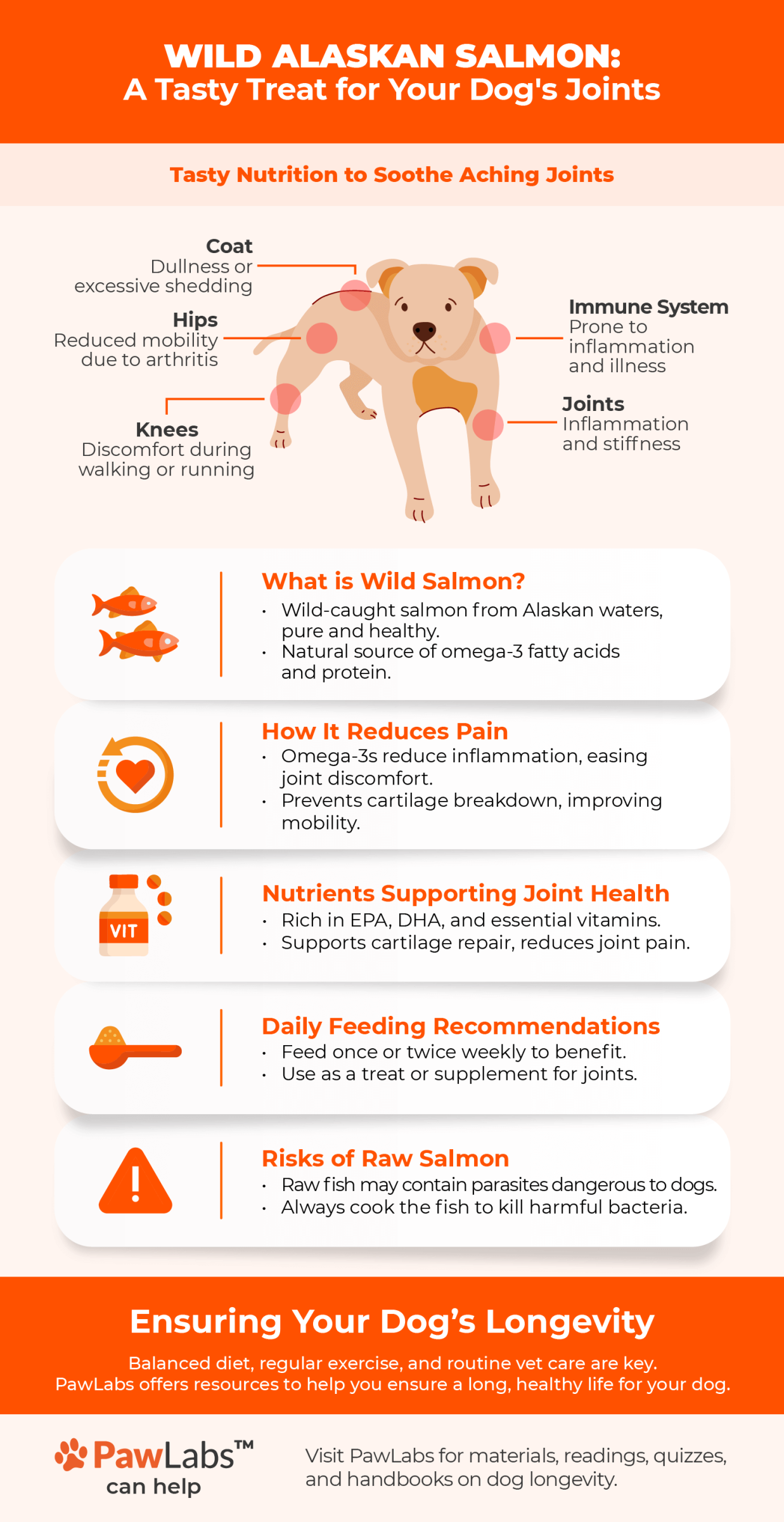 wild alaskan salmon infographic