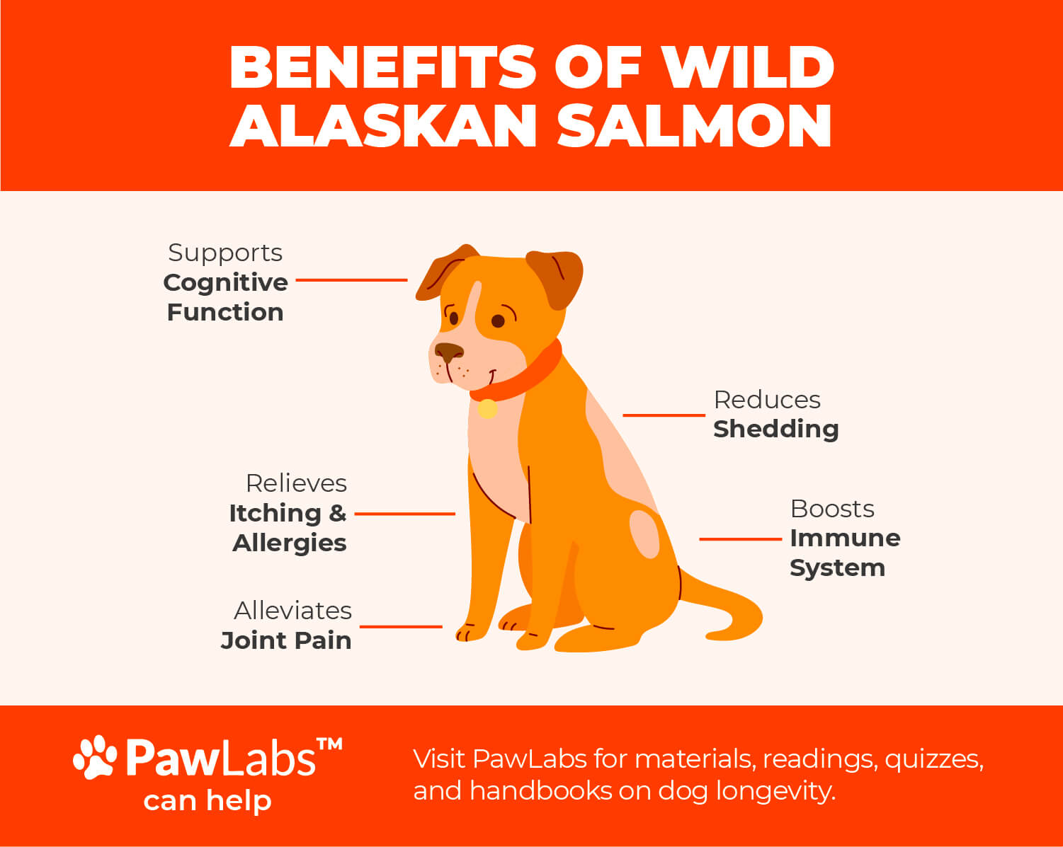 wild alaskan salmon benefits