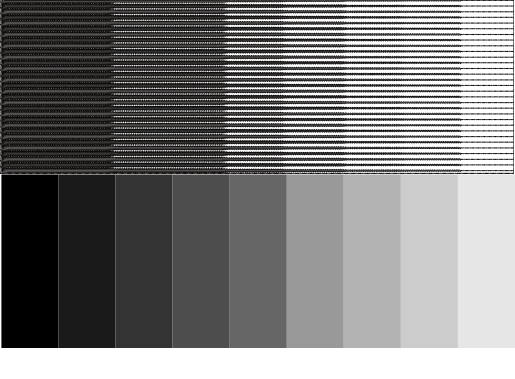 Animated Embroidery with Photo Flash-Grayscale