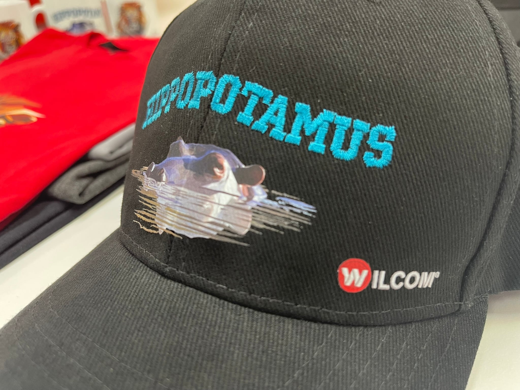 EmbroideryStudio Printable Embroidery