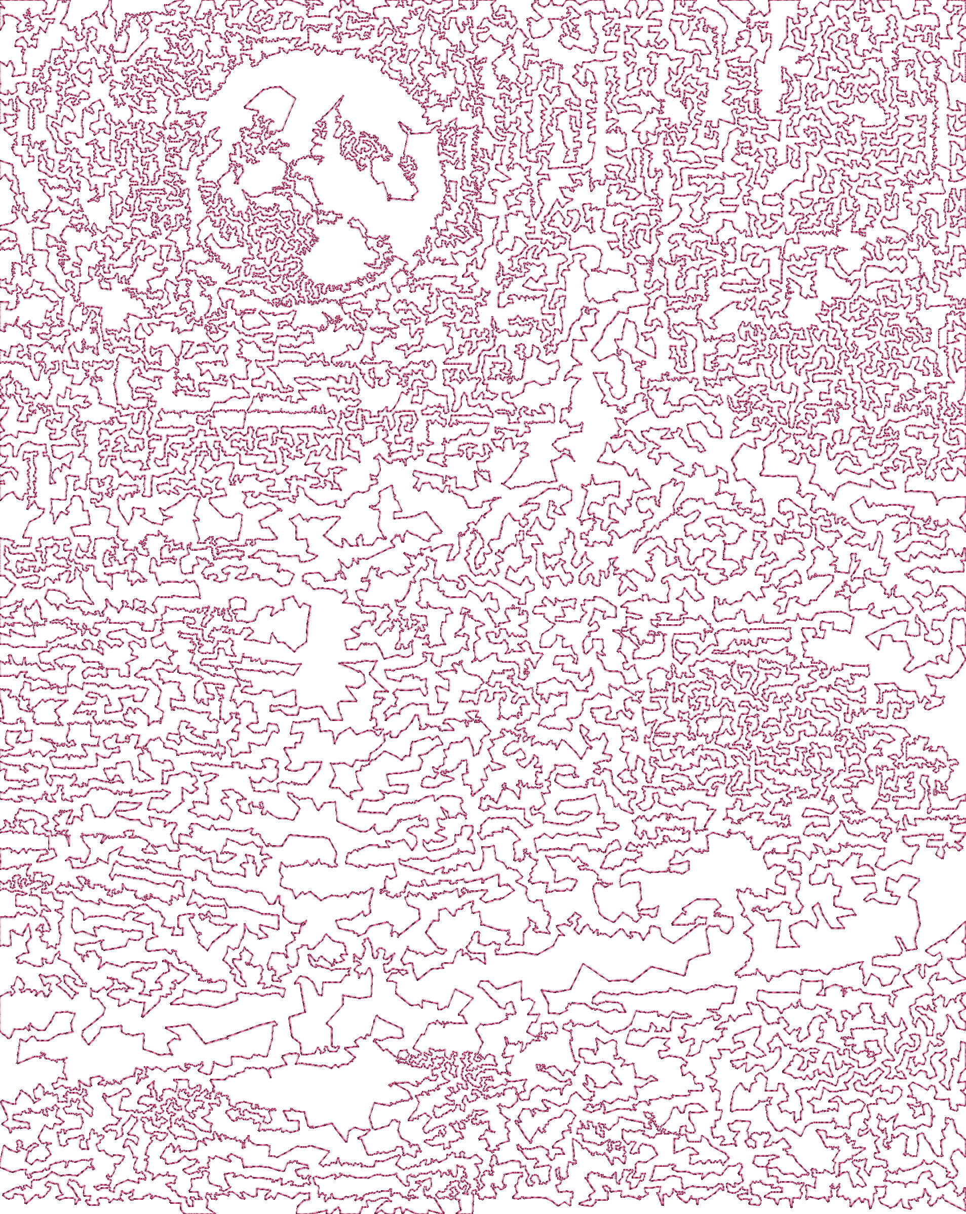 Reef PhotoStitch Magneta