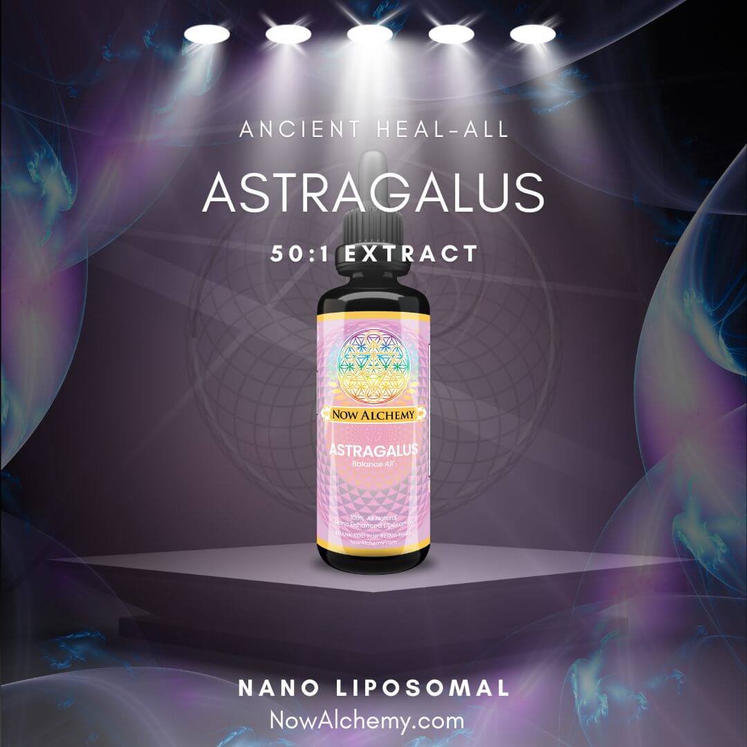 astragalus