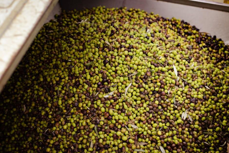 agrumato olive oil production process - flavor infused olive oil