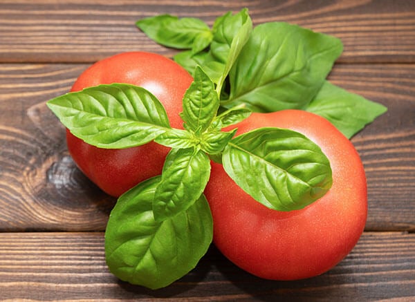 fresh tomatoes and basil on a cutting board