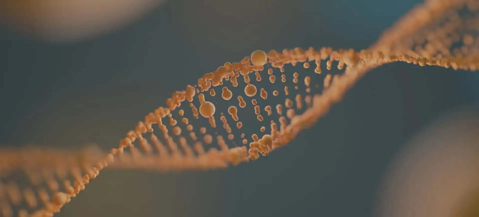 Whole Genome Sequencing vs. Whole Exome Sequencing: What are the Differences?