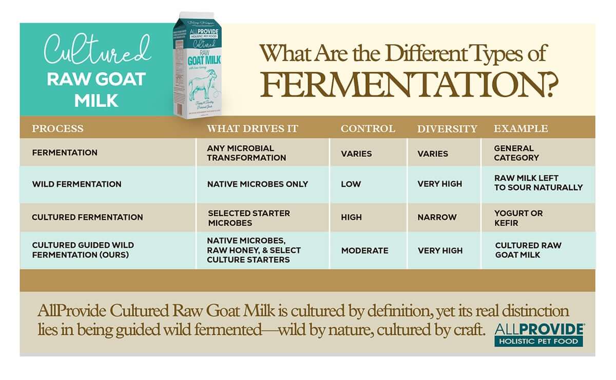 Different Types of Fermentation