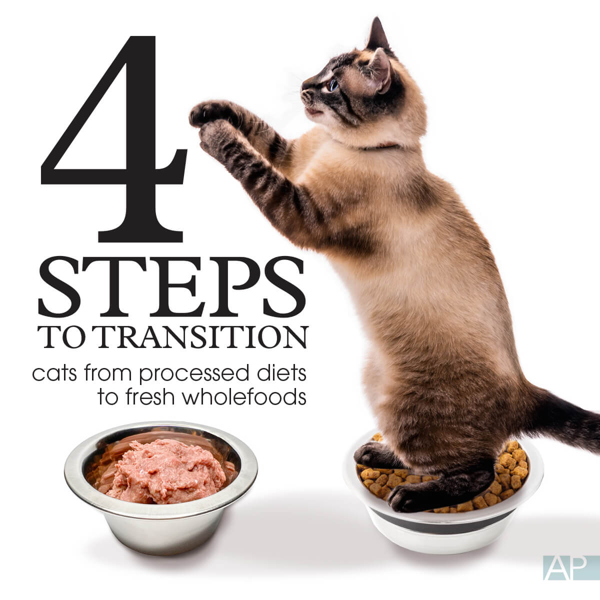 How To Transition Your Cat to a Fresh Diet