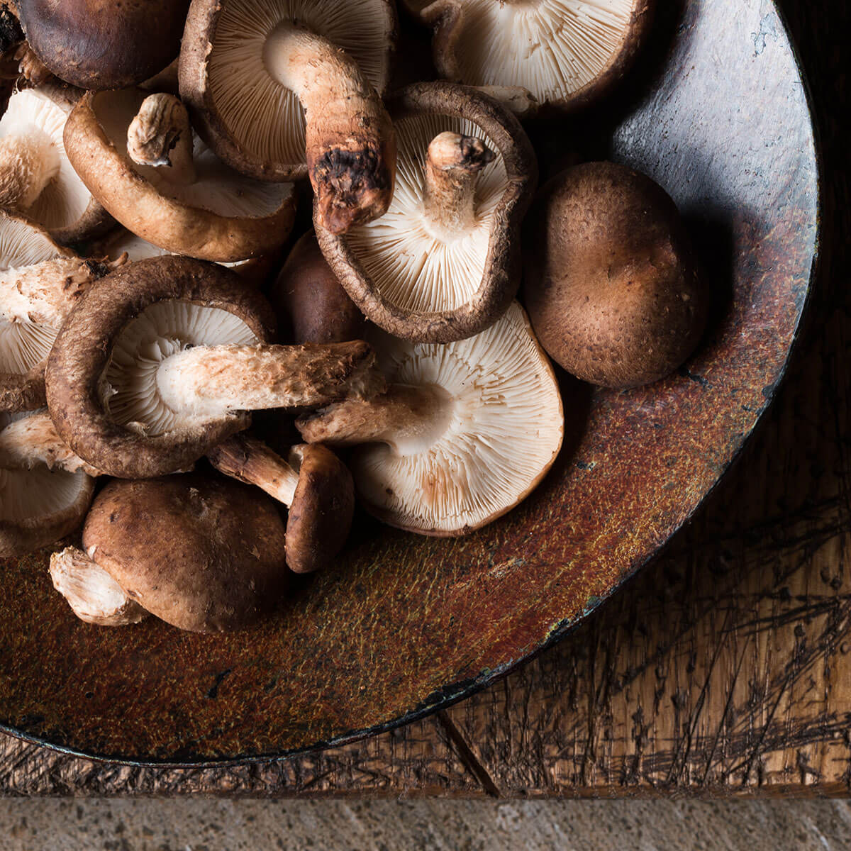 Shiitake Mushrooms: Superfood Ingredient in Your Dog's Bowl