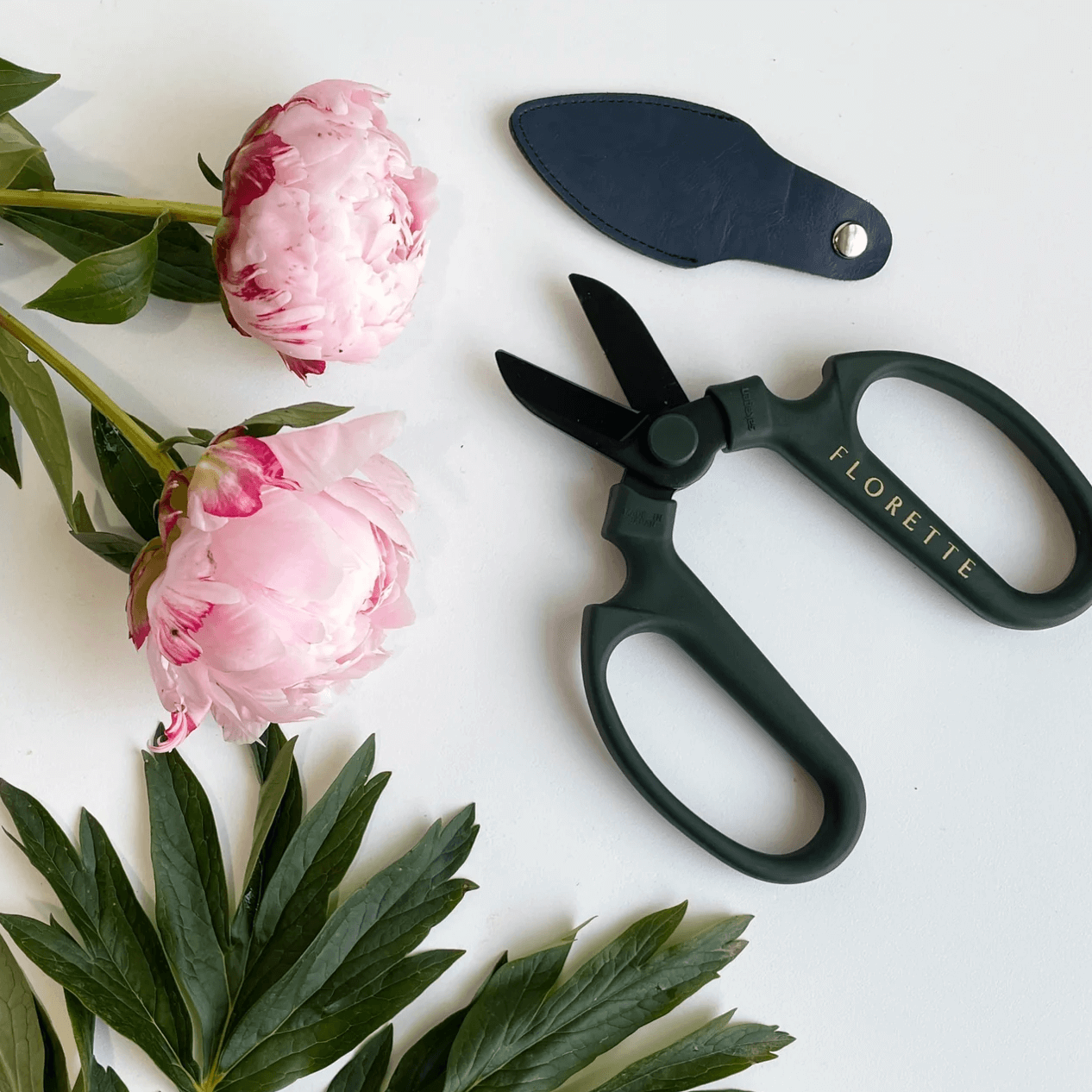 The Importance of Using Good Secateurs