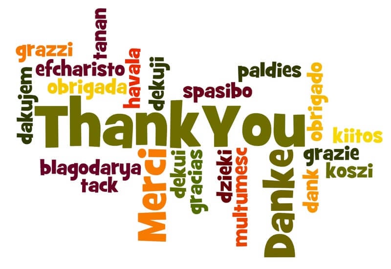 thank you from hummingbird networks