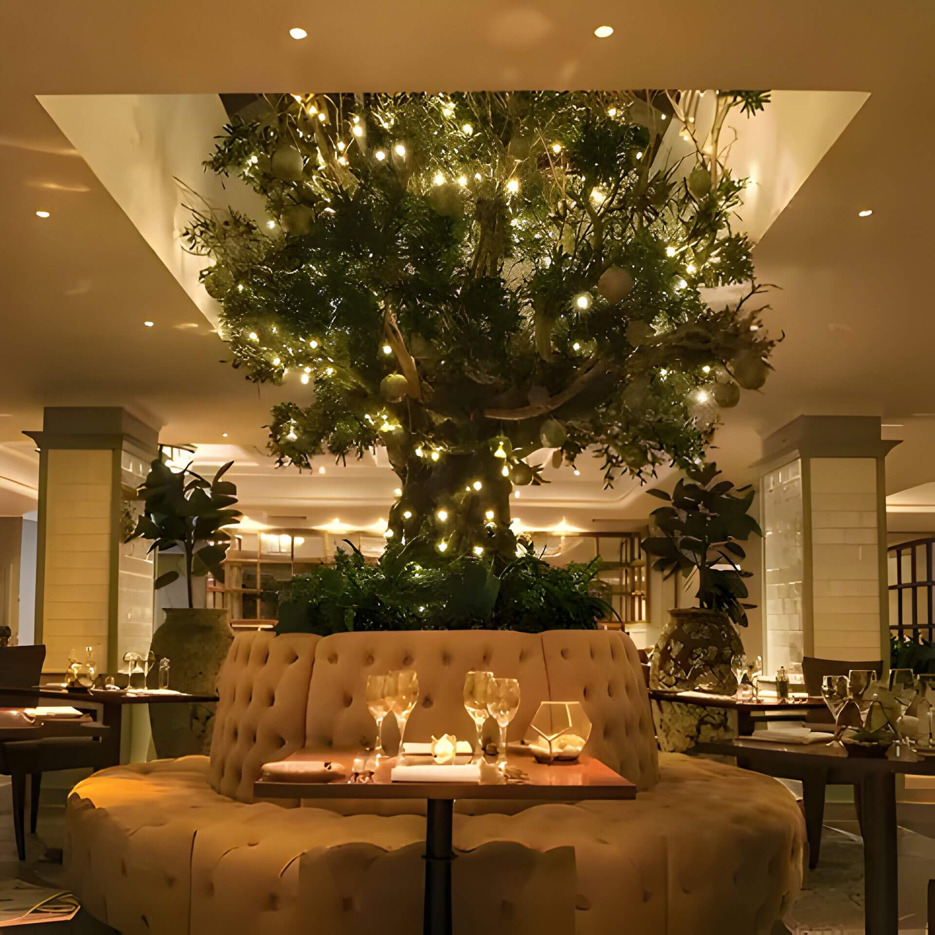 a fancy restaurant