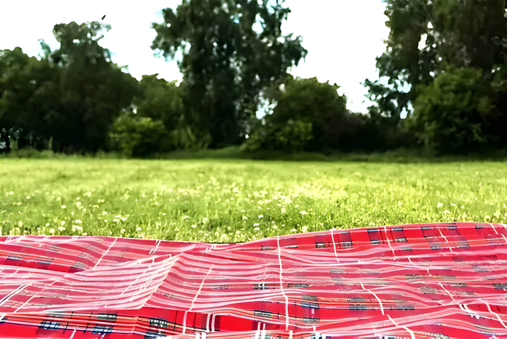 A red picnic blanket on a field with trees in the distance