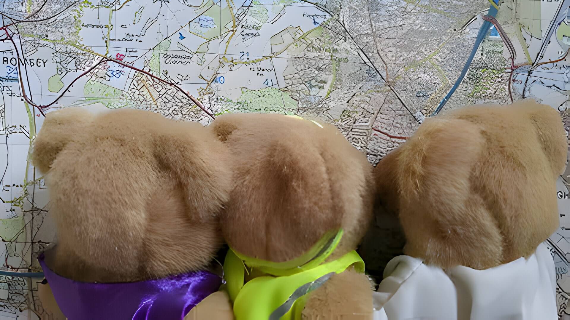 3 brown teddy bears looking at a map