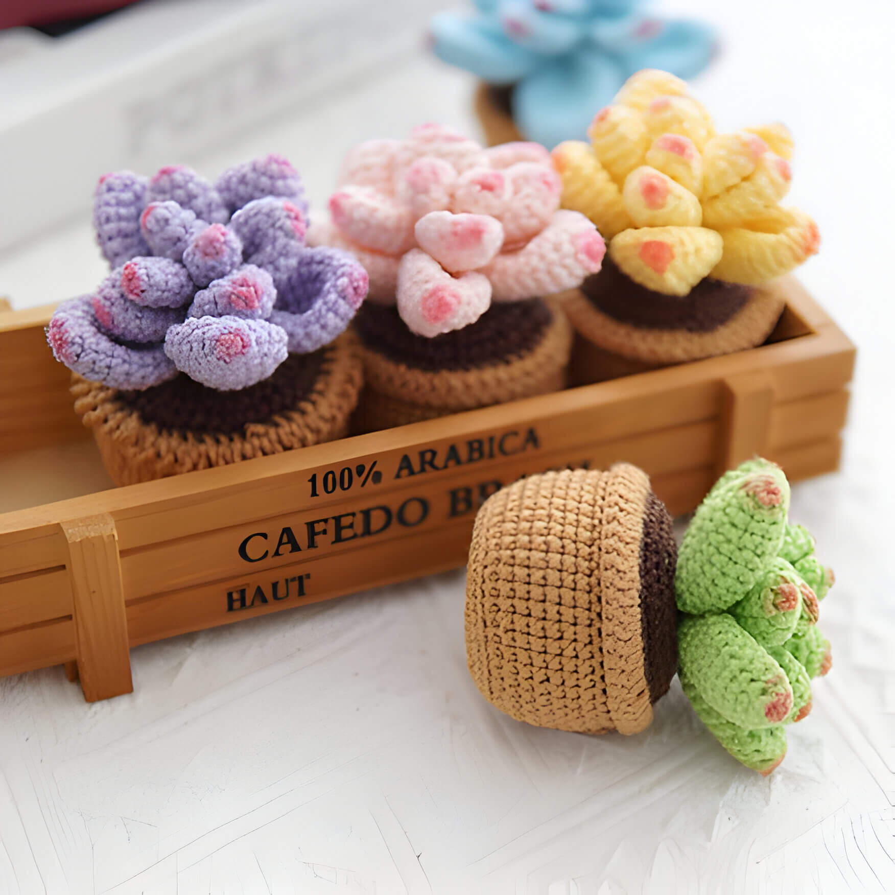 4 multicoloured crochet succulent plants