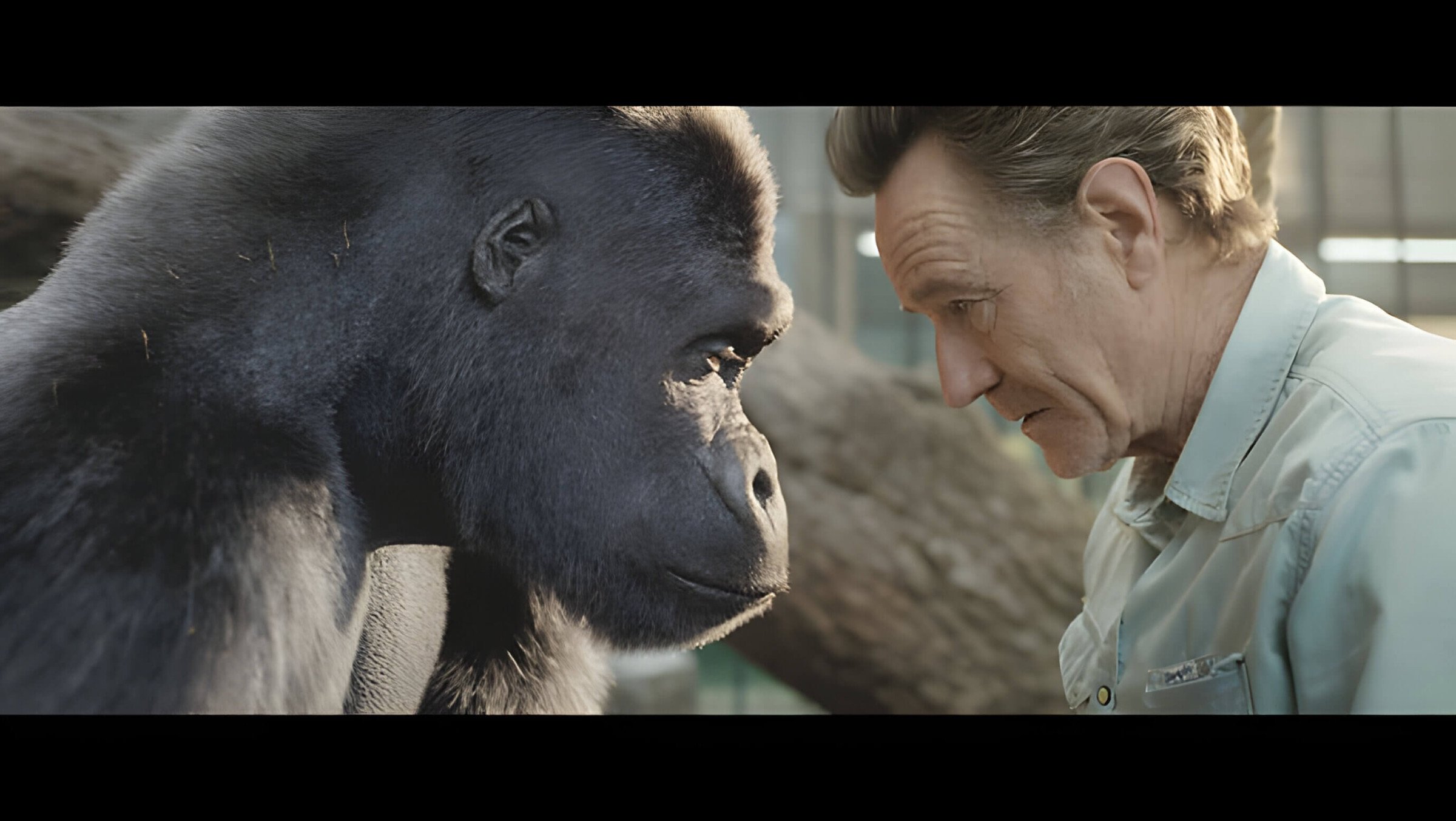 "The one and only Ivan" Movie