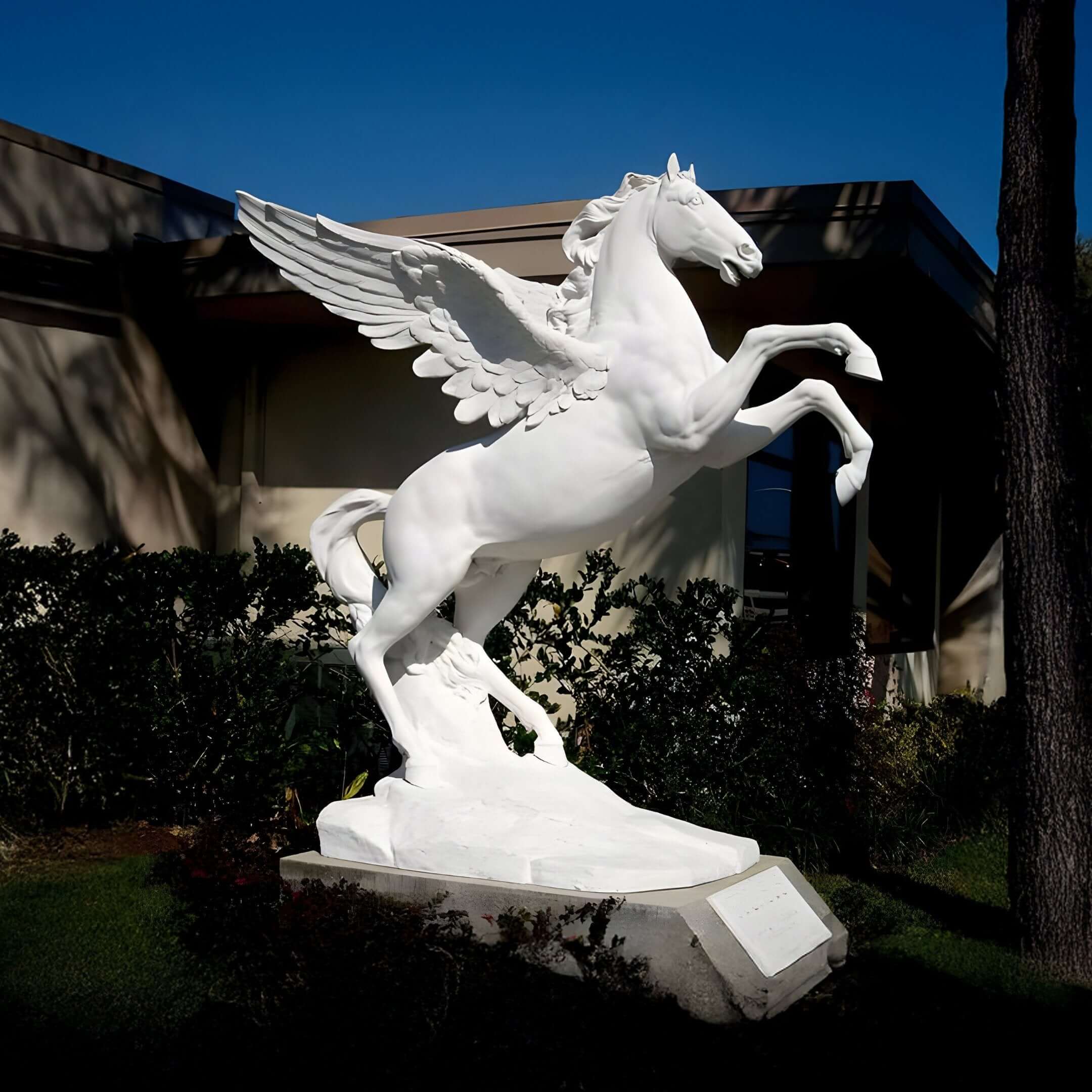 Pegasus Sculpture Outdoors – A majestic white Pegasus statue rearing on hind legs, displayed in a garden near a modern building.