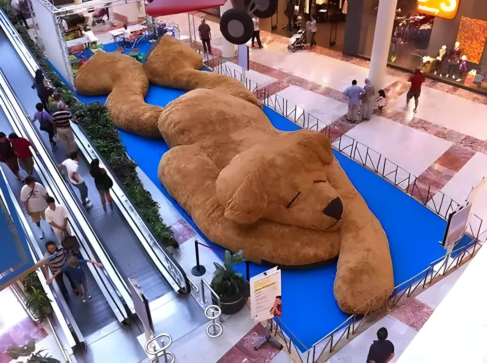 How Big Is the Biggest Teddy Bear Discover the Facts