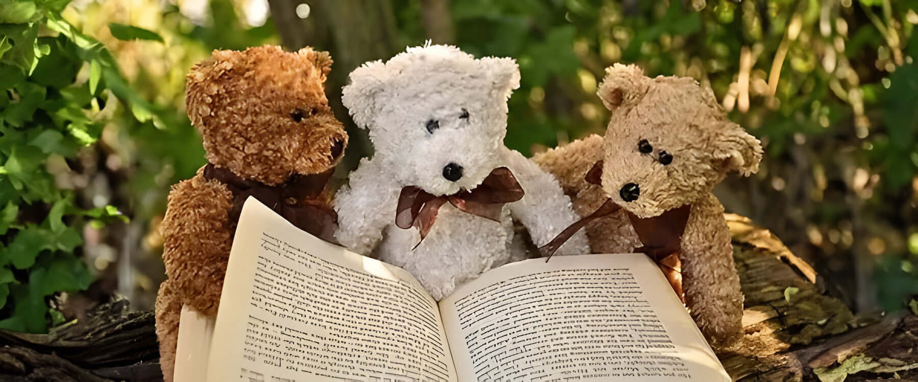 All fun and teddy bear games! Our guide to the best teddy bear activities