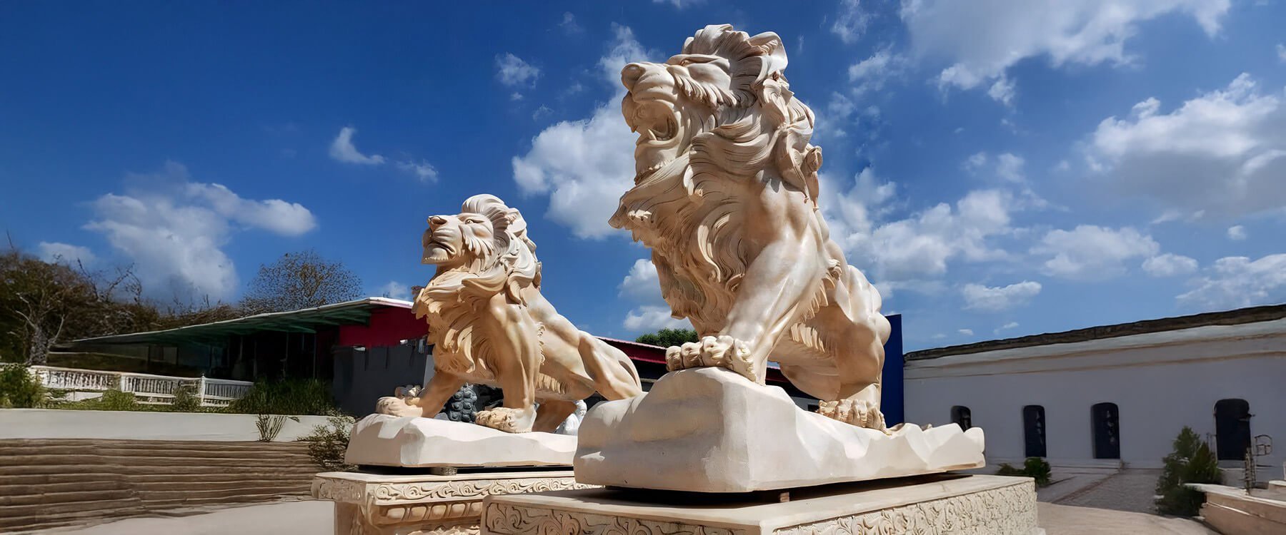 Magnificent lion sculptures displayed outdoors under a bright blue sky with scattered clouds, set in a landscaped area surrounded by modern and classical architecture.