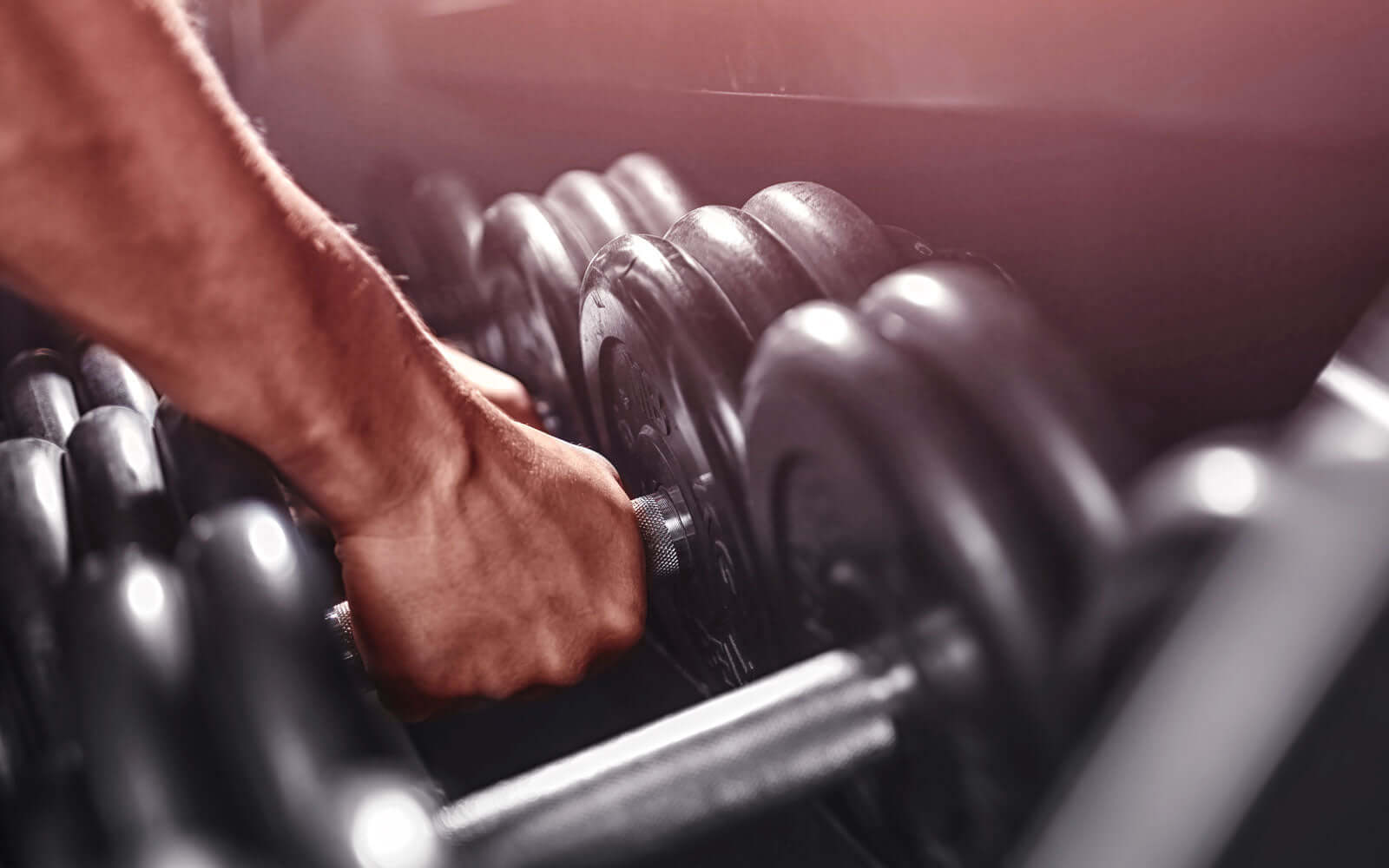 Best Dumbbell Exercises for Every Level