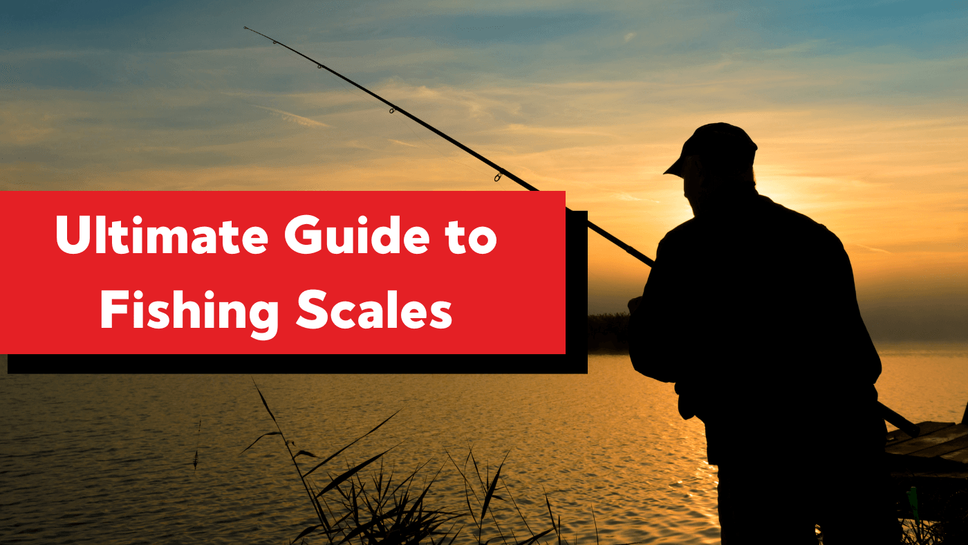 fishing scale guide and how to choose