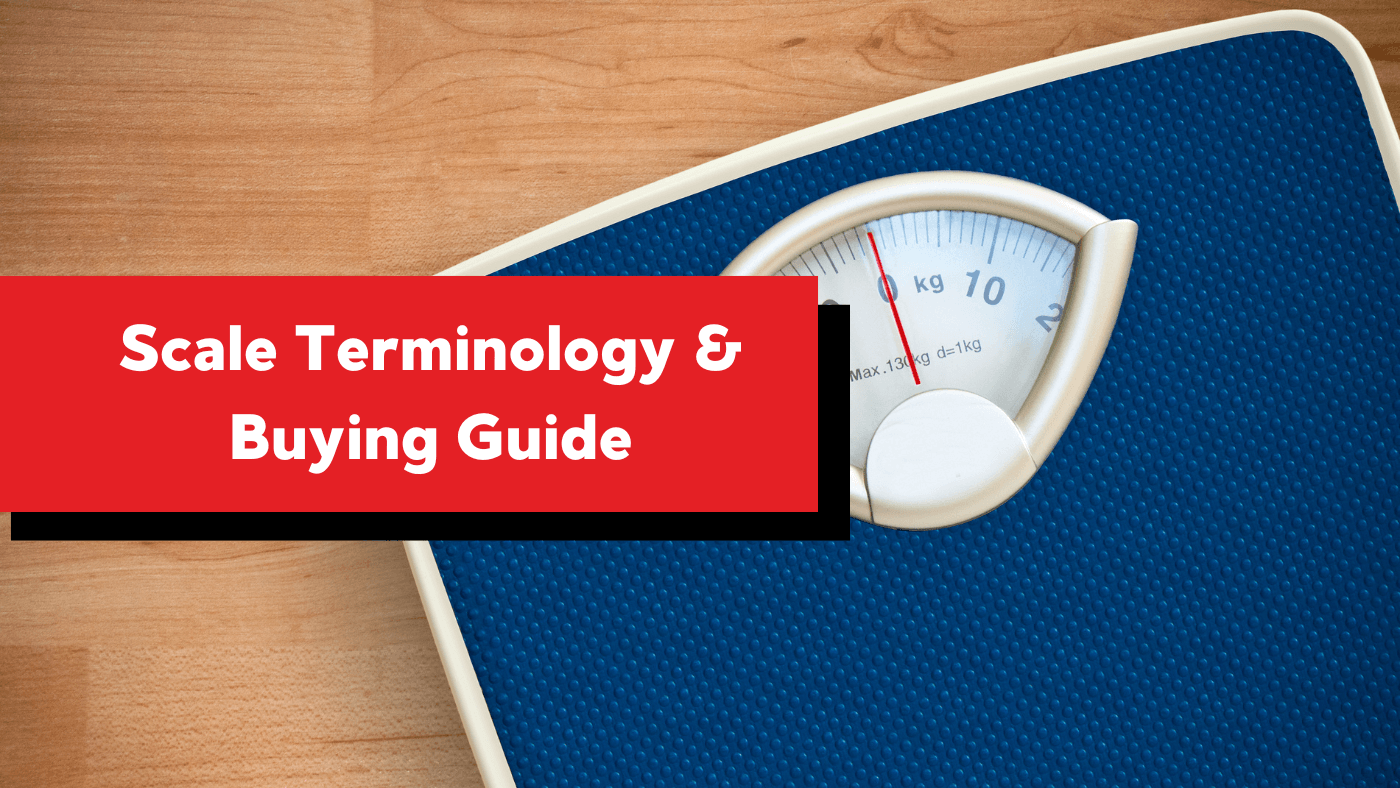 scale terminology and buying guide