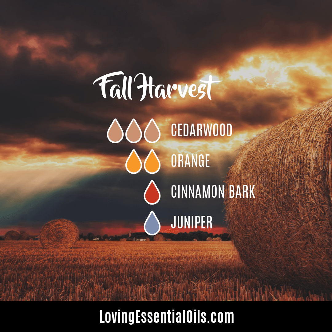 fall harvest diffuer recipes