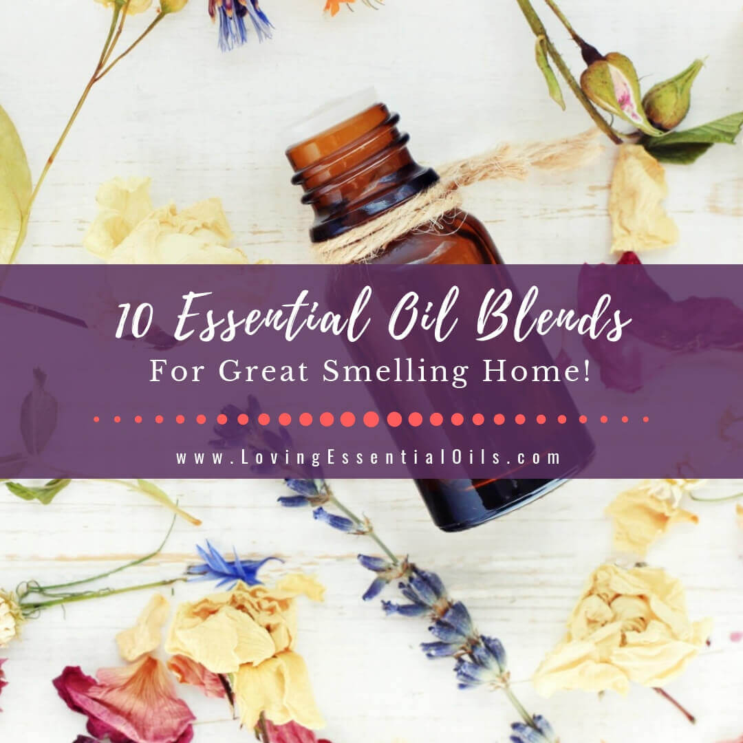 10 Essential Oil Blends For A Great Smelling Home - Clean & Fresh