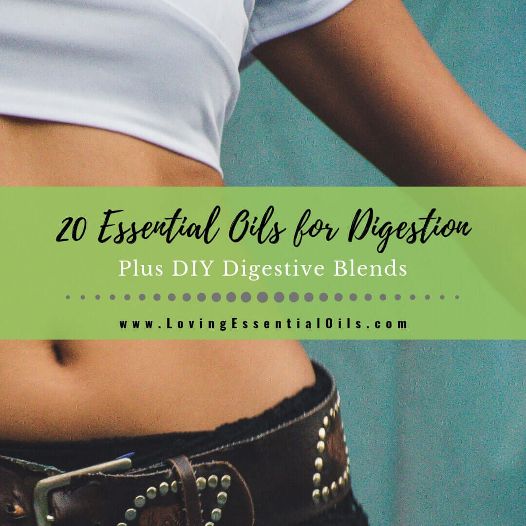 20 Essential Oils for Digestion Plus DIY Digestive Blends