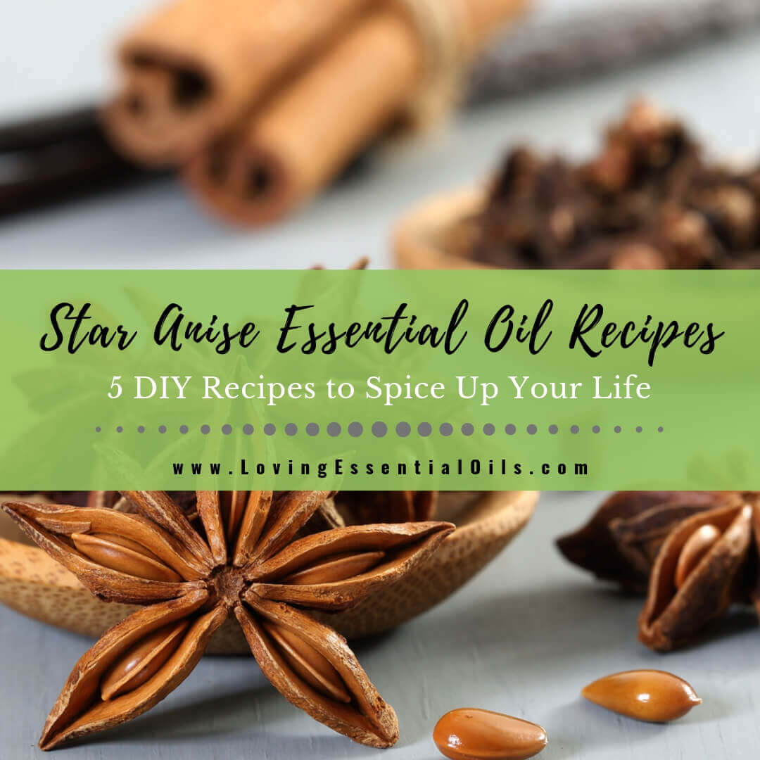 Star Anise Essential Oil Recipes, Uses and Benefits Spotlight