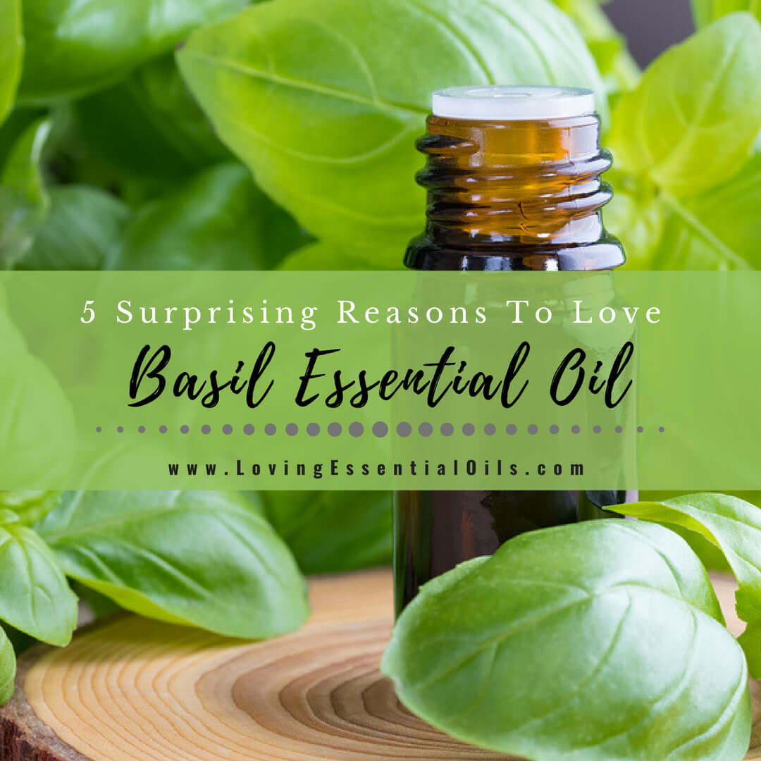 Basil Essential Oil Uses and Benefits with Diffuser Blend Recipes