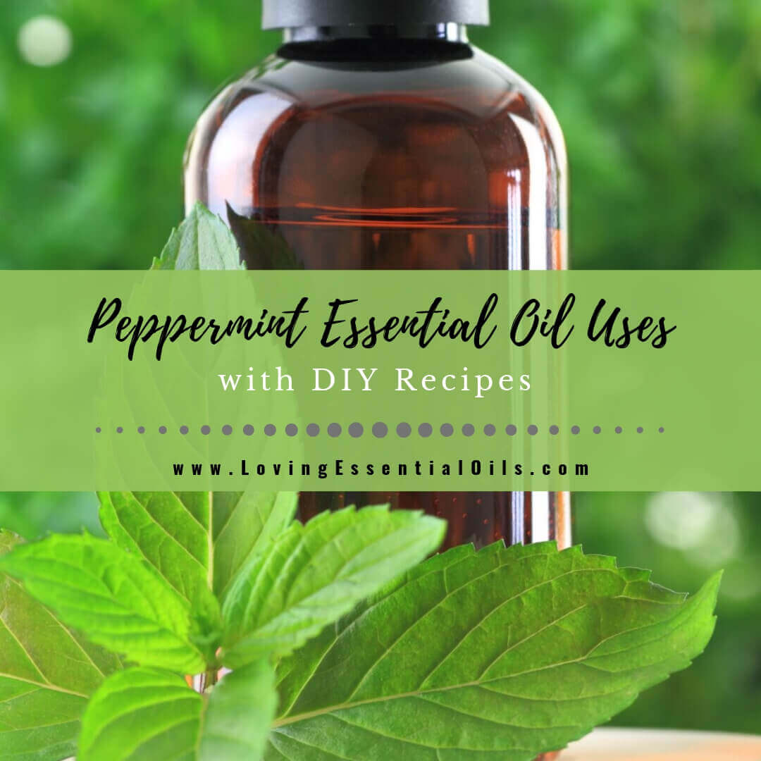 Peppermint Essential Oil Uses and Benefits with DIY Recipes