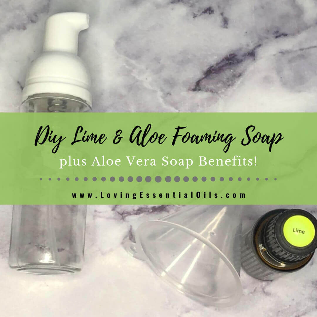 5 Aloe Vera Soap Benefits + DIY Foaming Lime Aloe Soap Recipe