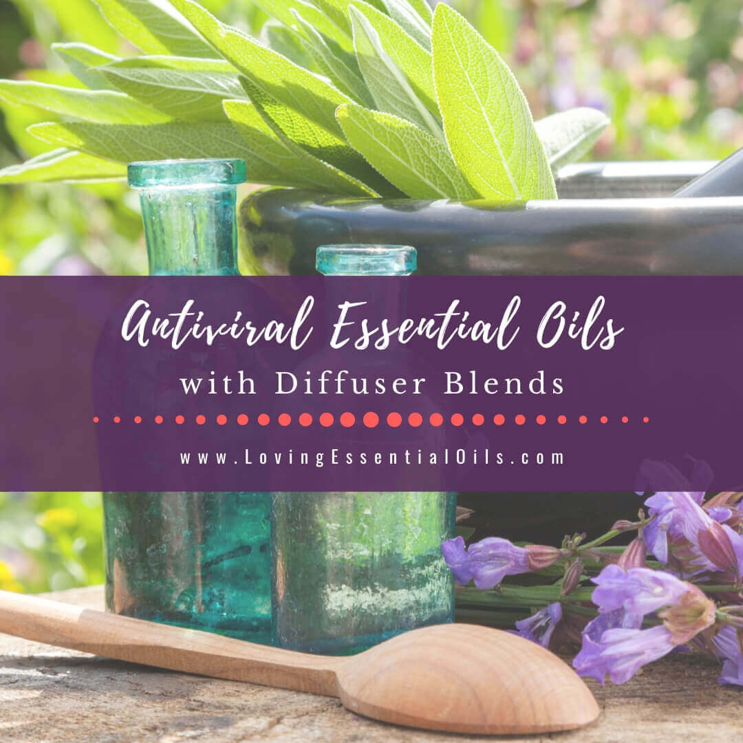 Antiviral Essential Oils to Diffuse with 5 Diffuser Blend Recipes