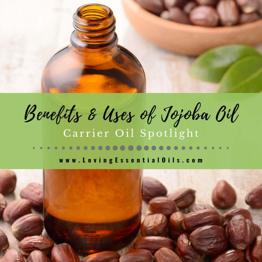 Jojoba Carrier Oil Benefits and Uses for Natural Skin Care