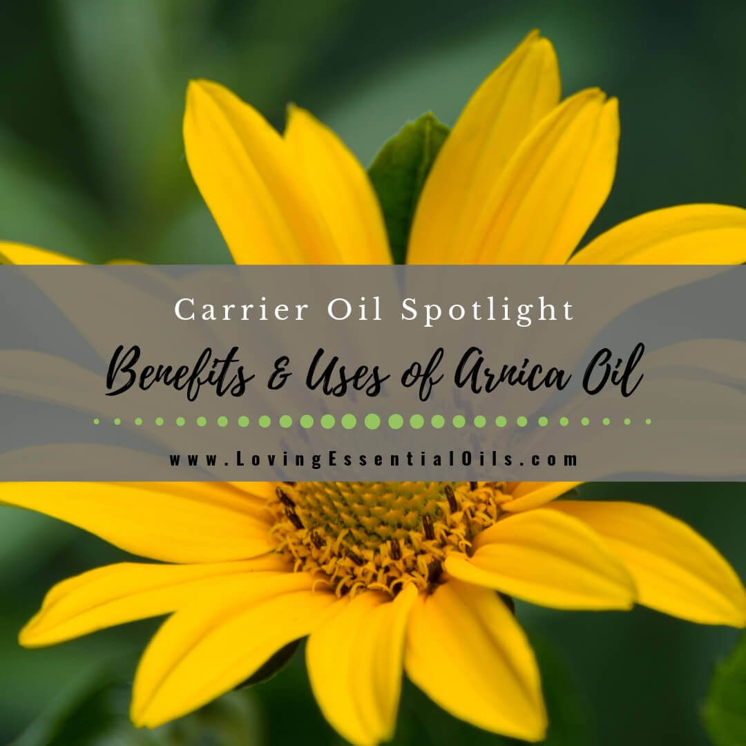 Top 6 Benefits of Arnica Oil and How to Use Safely