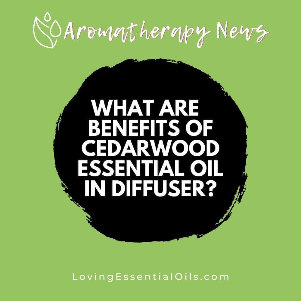 What are the Benefits of Cedarwood Essential Oil in Diffuser?