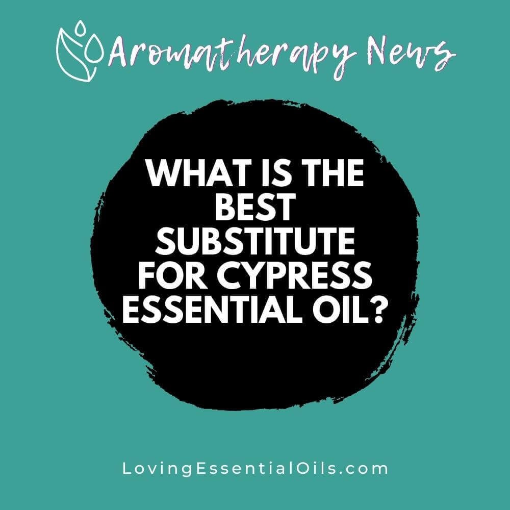 What is the Best Substitute for Cypress Essential Oil?