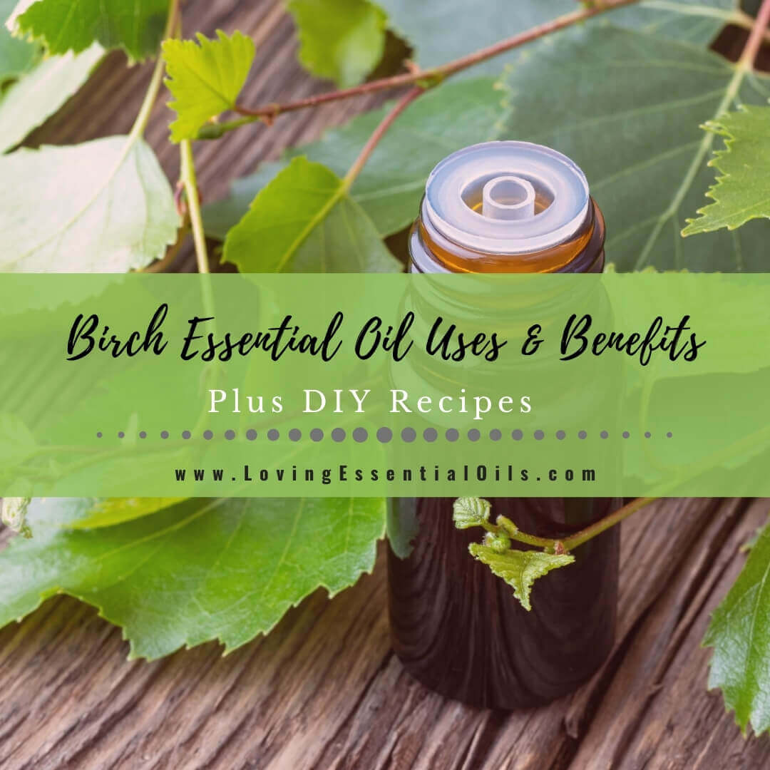 Birch Essential Oil Recipes, Uses and Benefits Spotlight