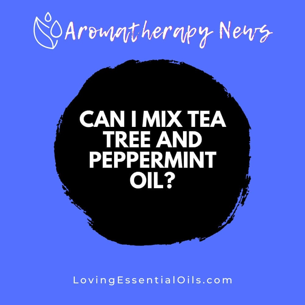 Can I Mix Tea Tree and Peppermint Oil? Skin Care Benefits